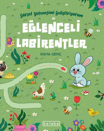 Eğlenceli Labirentler - Görsel Yeteneğimi Geliştiriyorum resmi