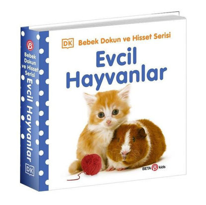 Evcil Hayvanlar resmi