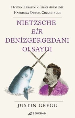 Nietzsche Bir Denizgergedanı Olsaydı resmi