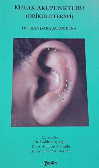 Kulak Akupunkturu Oriküloterapi resmi