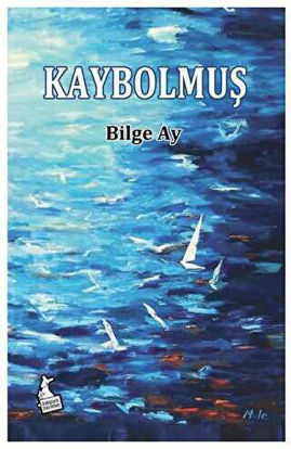 Kaybolmuş resmi