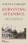 Surviving Istanbul - Ciltli resmi