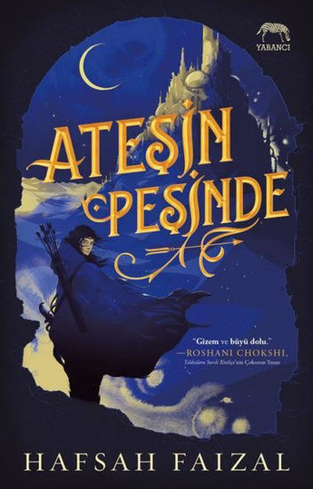 Ateşin Peşinde resmi