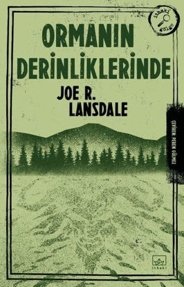 Ormanın Derinliklerinde resmi