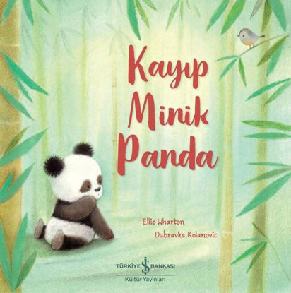 Kayıp Minik Panda resmi