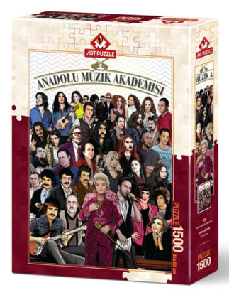 Anadolu Müzik Akademisi 1500 P resmi