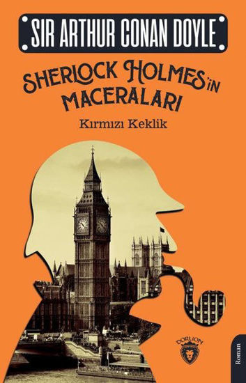 Kırmızı Keklik resmi