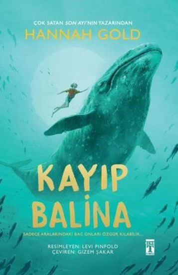 Kayıp Balina -Fleksi Kapak resmi