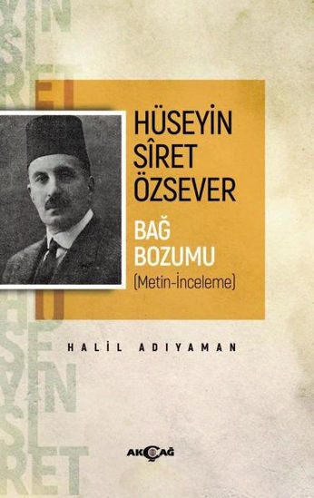 Hüseyin Siret Özsever - Bağ Bozumu resmi