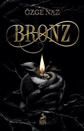 Bronz resmi