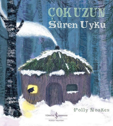 Çok Uzun Süren Uyku resmi