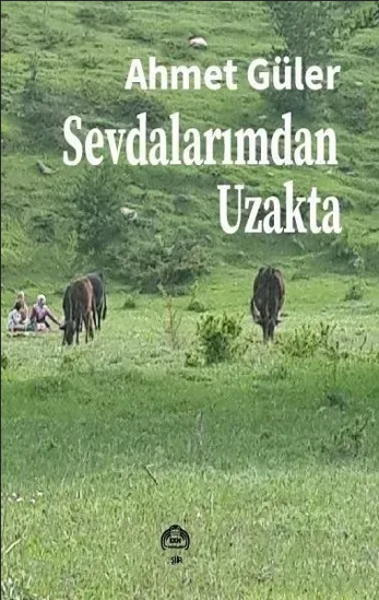 Sevdalarımdan Uzakta resmi