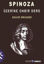 Spinoza Üzerine On Bir Ders resmi