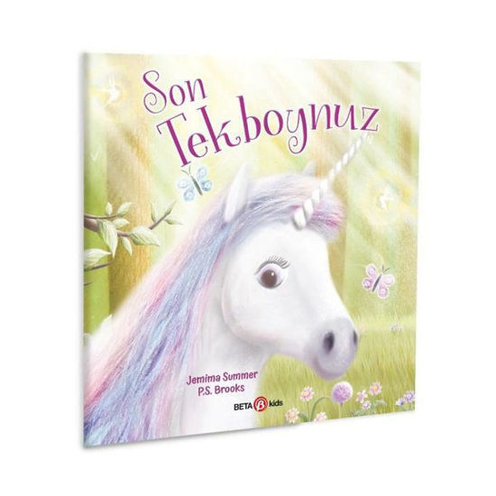 Son Unicorn Tekboynuz resmi