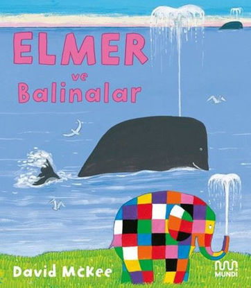 Elmer ve Balinalar resmi