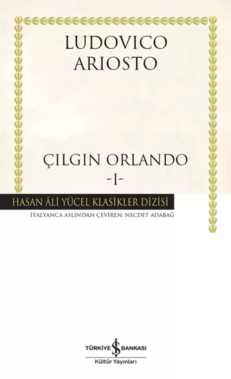 Çılgın Orlando - 1 - Ciltli resmi