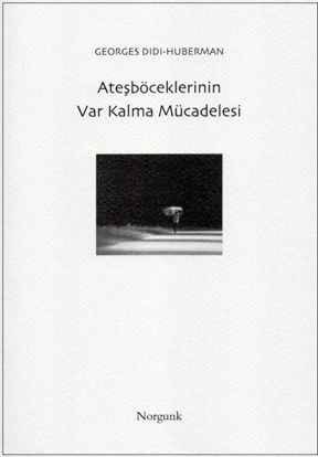 Ateşböceklerinin Var Kalma Mücadelesi resmi