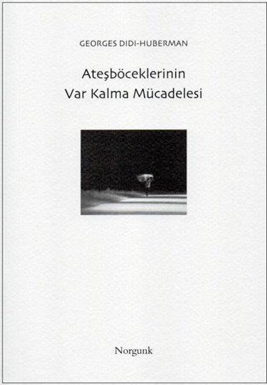 Ateşböceklerinin Var Kalma Mücadelesi resmi