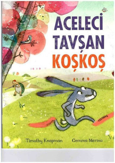 Aceleci Tavşan Koşkoş resmi