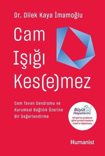 Cam Işığı Kesemez resmi