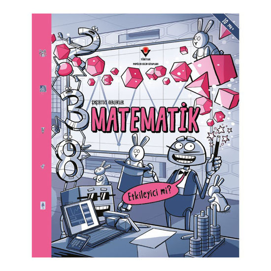 Şaşırtıcı Gerçekler - Matematik resmi