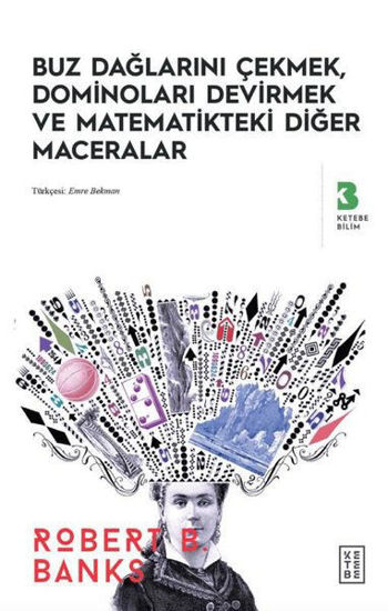 Buz Dağlarını Çekmek Dominoları Devirmek ve Matematikteki Diğer Maceralar resmi