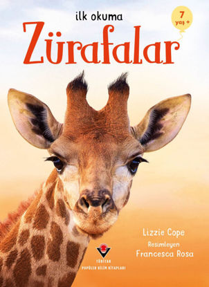 İlk Okuma - Zürafalar resmi