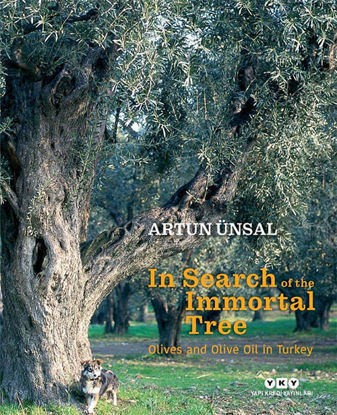 In Search Of The Immortal Tree - Olives and Olive Oil in Turkey resmi