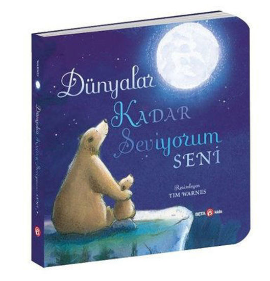 Dünyalar Kadar Seviyorum Seni resmi