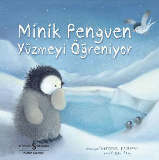 Minik Penguen Yüzmeyi Öğreniyor resmi