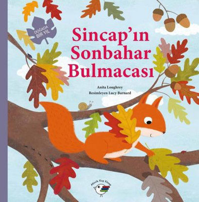 Sincap'ın Sonbahar Bulmacası - Doğada Bir Yıl resmi