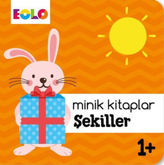 Minik Kitaplar Şekiller 1+ resmi