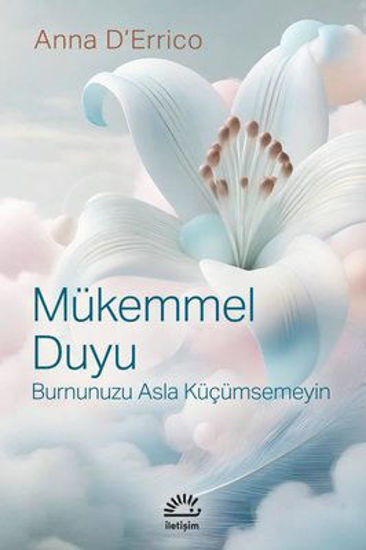 Mükemmel Duyu - Burnunuzu Asla Küçümsemeyin resmi