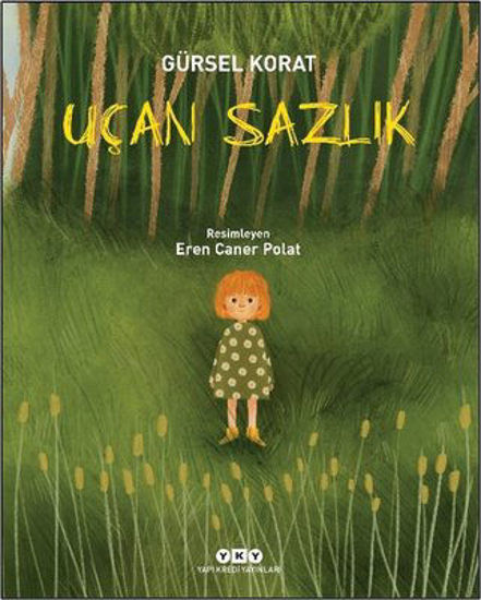 Uçan Sazlık resmi