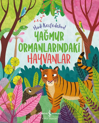 Hadi Keşfedelim! - Yağmur Ormanlarındaki Hayvanlar resmi