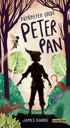 Büyümeyen Çocuk Peter Pan resmi