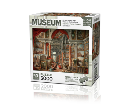 Picture Gallery with Views of Modern Rome 3000P resmi