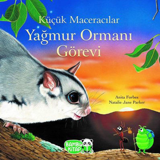 Küçük Maceracılar - Yağmur Ormanı Görevi resmi