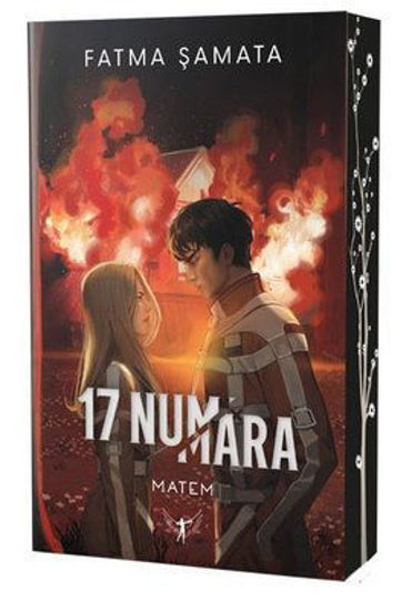 17 Numara - Matem resmi