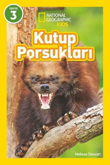 Kutup Porsukları - National Geographic Kids - Seviye 3 resmi