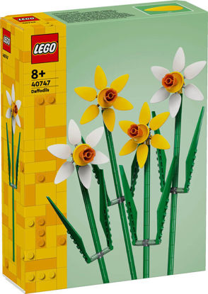 Daffodils resmi