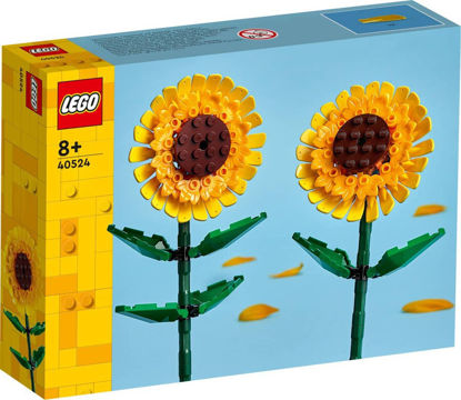 Sunflowers resmi