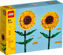 Sunflowers resmi