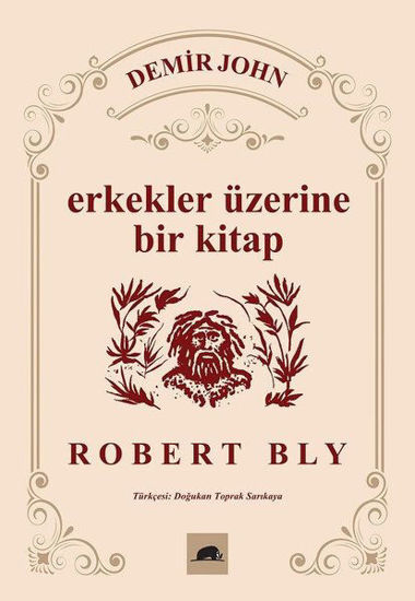 Erkekler Üzerine Bir Kitap resmi