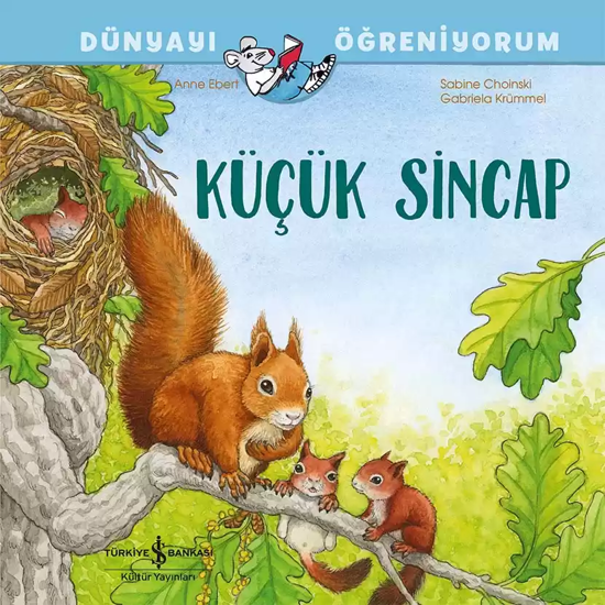 Küçük Sincap resmi