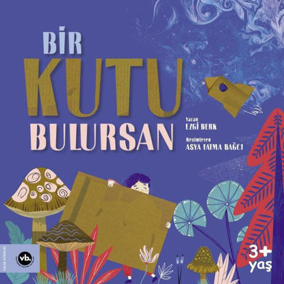 Bir Kutu Bulursan resmi