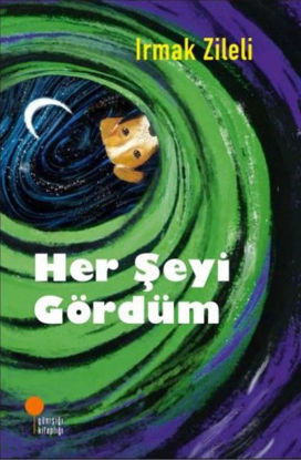 Her Şeyi Gördüm resmi