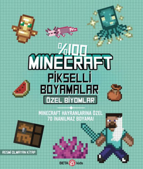 %100 Minecraft Pikselli Boyamalar Özel Biyomlar resmi