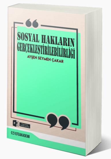 Sosyal Hakların Gerçekleştirilebilirliği resmi