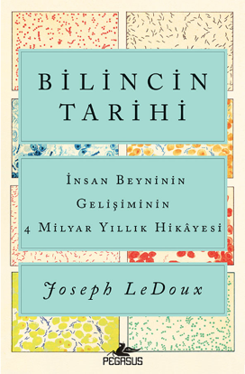 Bilincin Tarihi - İnsan Beyninin Gelişiminin 4 Milyar Yıllık Hikayesi resmi